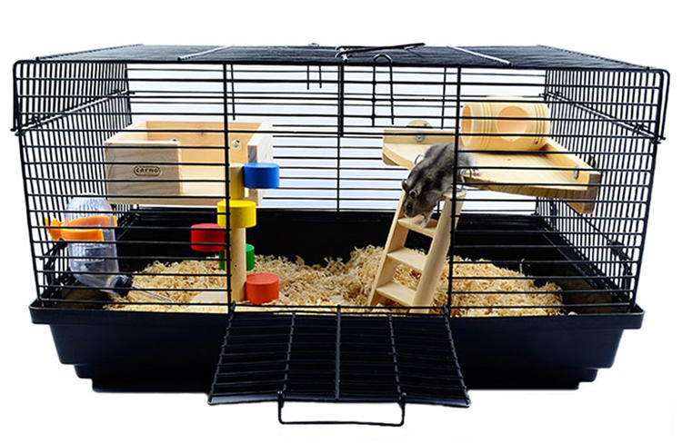仓鼠如何饲养教程,新手养仓鼠该用什么笼子