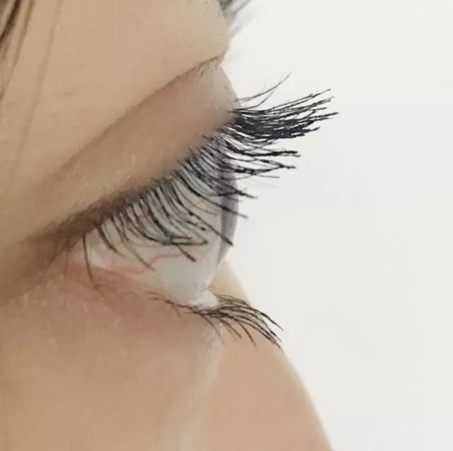 8款热门睫毛膏专业测评，Angelababy最爱的睫毛膏居然垫底了！