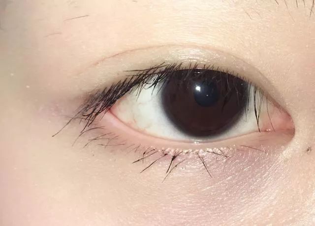 8款热门睫毛膏专业测评，Angelababy最爱的睫毛膏居然垫底了！