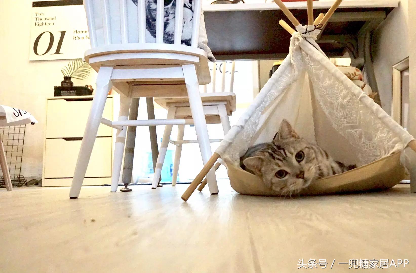 手指褪皮，用坏6对手套，90后美女爆改破旧公寓，是我小瞧你了！