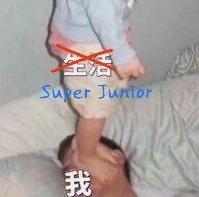 superjunior新曲mv,superjunior和elf哪个好看