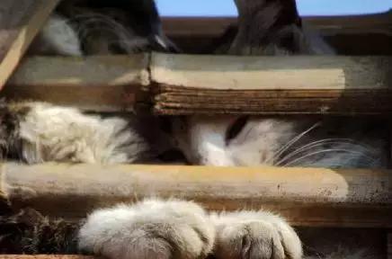 我不能怂歌曲,我不能怂攻略