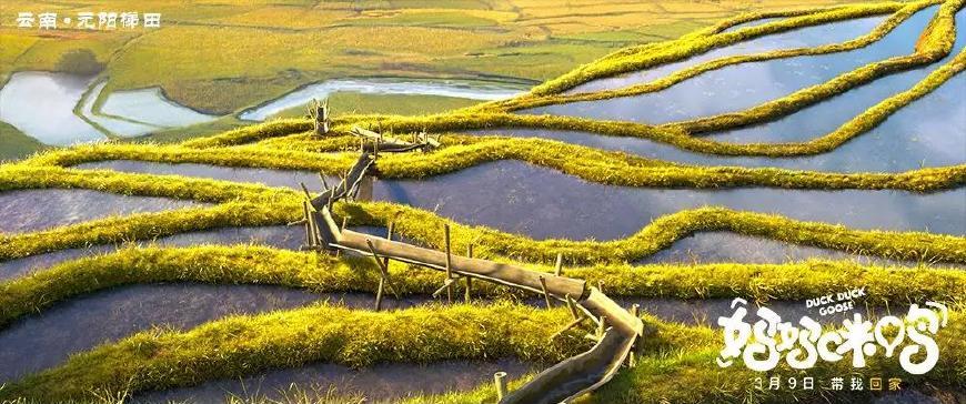 国产动画为何迅速走下坡路,国产崛起动画视频