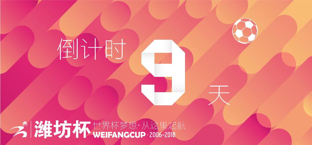 潍坊杯12支球队,2015鲁能潍坊杯