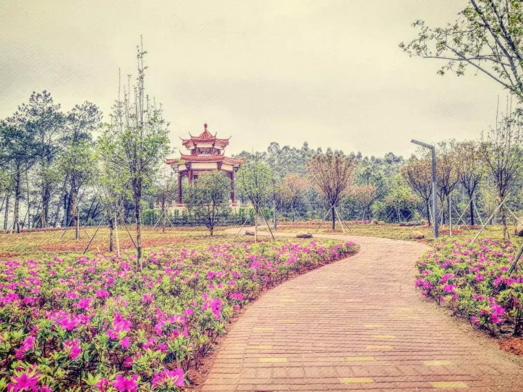 初遇水院，恰逢其时｜等你来共同感受水一样的情怀