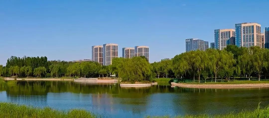 永远的林肯公园,永远的传奇林肯公园