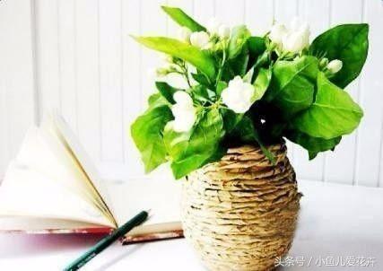 空瓶子做花瓶视频,用空瓶子做创意花瓶