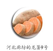 蔬菜全麦脆片,蔬菜干果蔬脆片做法