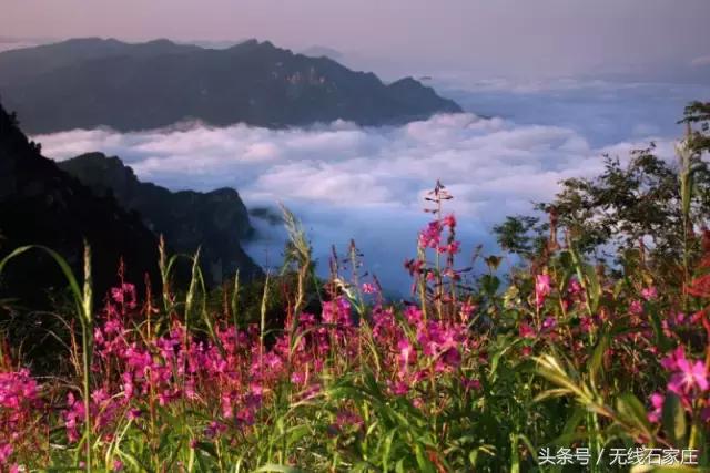 我们向全世界发出邀请！2019，欢迎您来到石家庄！