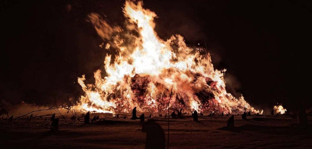 看片1312部,理想很美好,现实很骨感