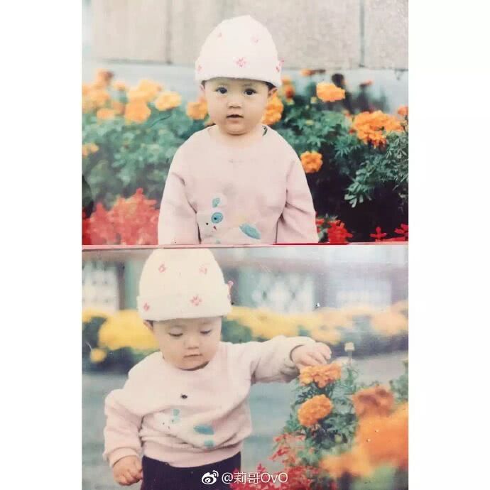 莉哥澄清视频,莉哥抖音事件