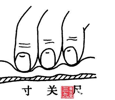 中医诊断学脉诊4,中医诊断学脉诊教学视频