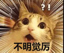 邪不压正影评细节分析 (邪不压正深度解析专业影评)