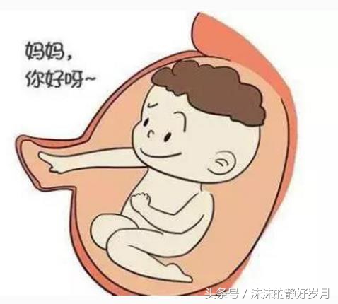 孕1到10个月的宝宝发育全过程,胎宝宝孕期1-10个月图片