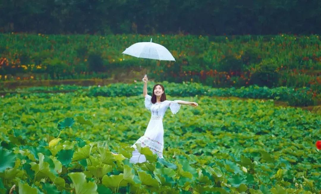 藏不住了重庆这个小城太美了,藏不住了四川话