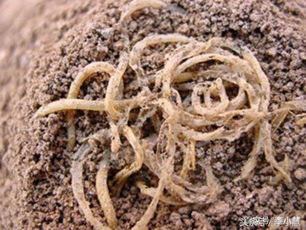 扒一扒我国特别逆天的*物文**！爱马仕、LV什么的弱爆了！