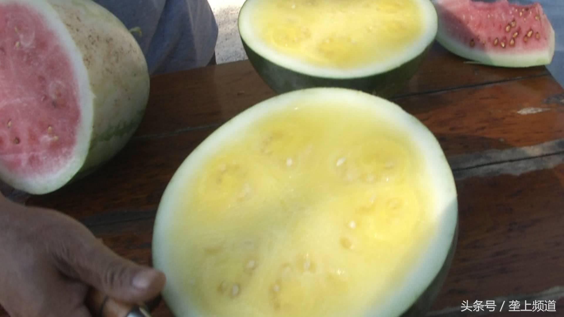 一亩西瓜卖100万,西瓜一亩地能产多少斤能挣多少钱