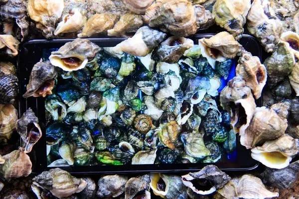 不用签证就能去的海岛,不需要签证的海岛游