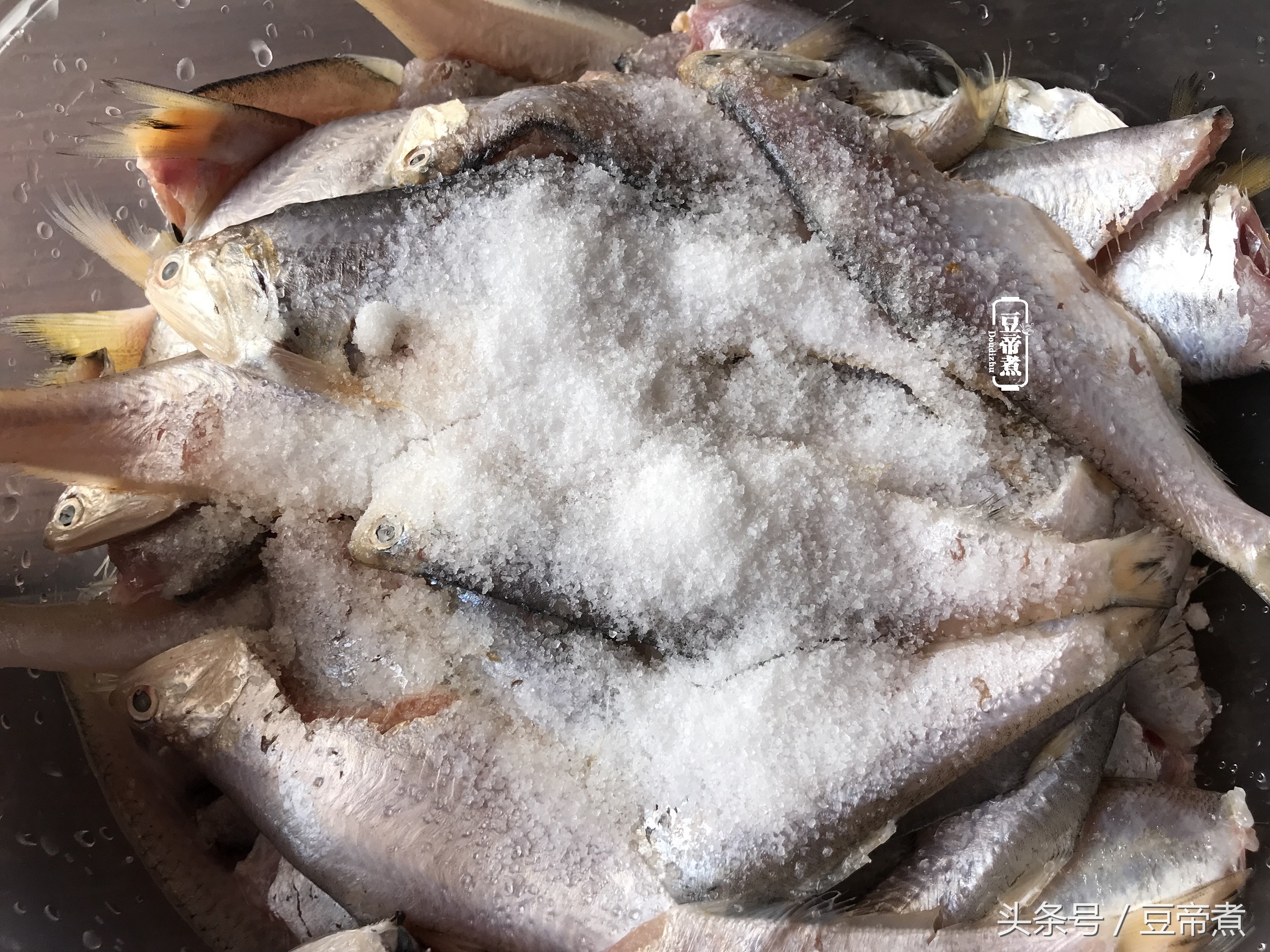 长江刀鱼怎么做,长江第一鲜刀鱼怎么做