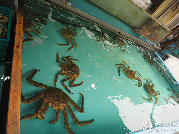 北海道札幌的散步之旅,日本北海道小樽旅游攻略