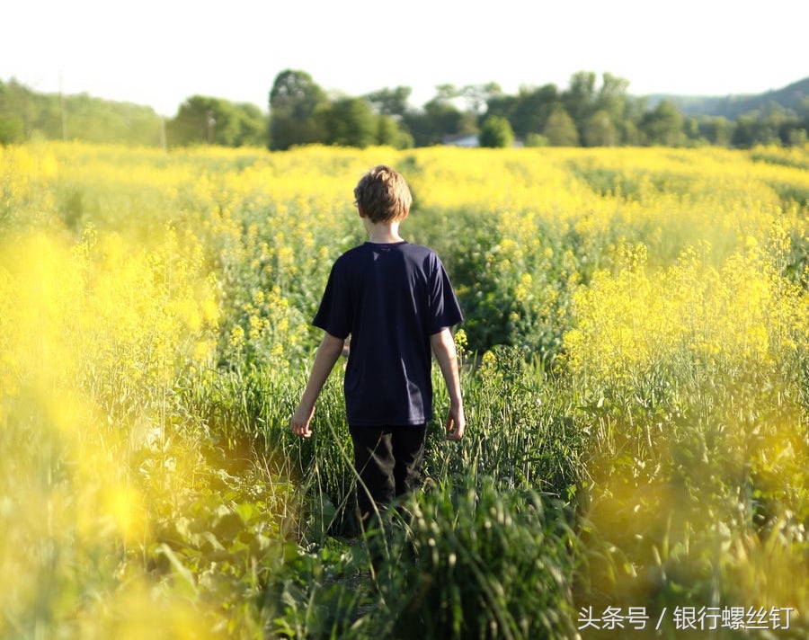 没时间看书怎么办,没时间读书怎么快速精读一本书