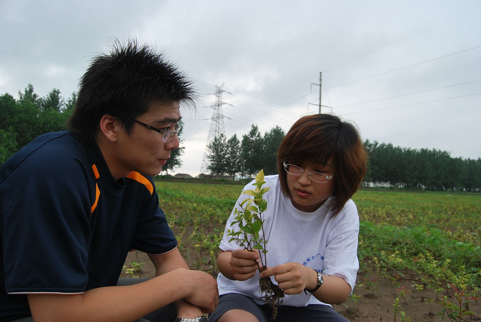 返乡农业创业失败,返乡创业需要去学习农业知识吗
