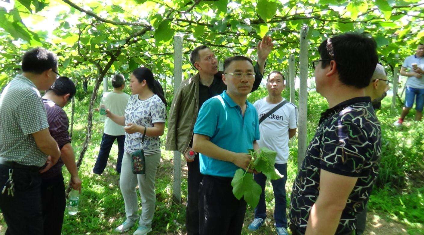 返乡农业创业失败,返乡创业需要去学习农业知识吗