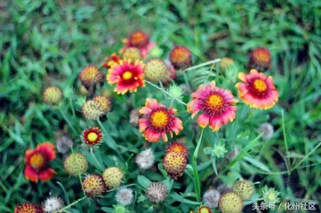 不用签证可以去的岛屿,不花钱的海岛旅行