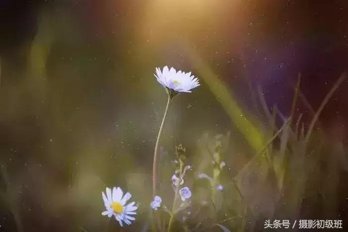 10个摄影练习技巧,10个提高摄影构图技巧