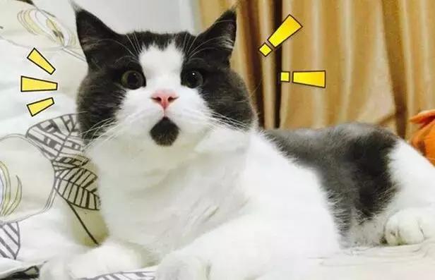 山寨微信语音是骗人的吗,山寨微信语音转发有危险吗