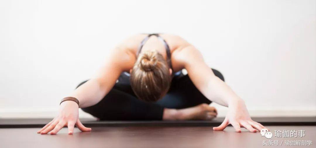 初学瑜伽应该选择啥样的瑜伽,初学瑜伽者选择什么瑜伽好