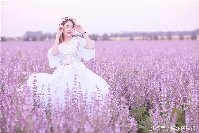 投票啦！快来支持你喜欢的紫苏仙子吧！