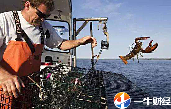 俄侣大涨14%只因一句话！美国豆农、虾商苦不堪言，也因一句话！