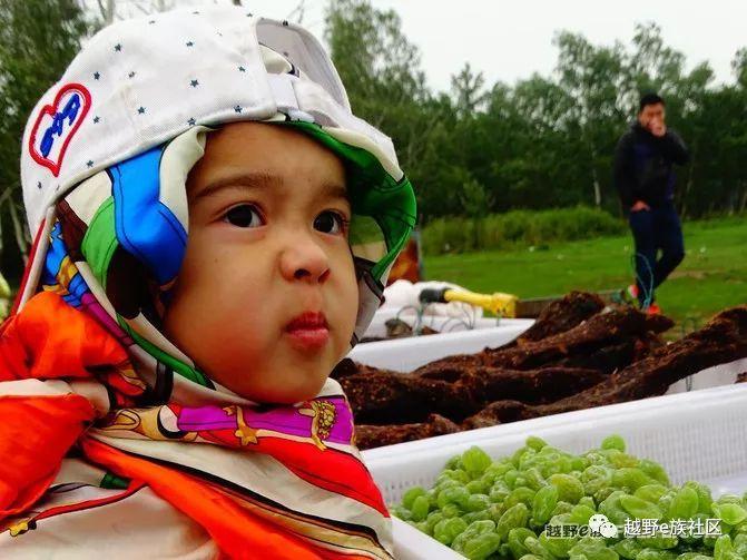无法忘记的第一次草原之旅,一生必去一次的草原