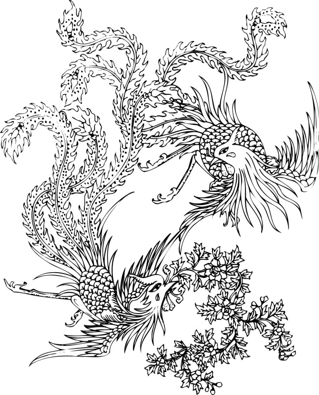 白描百鸟朝凤图怎么画,百鸟之王凤凰图片手绘