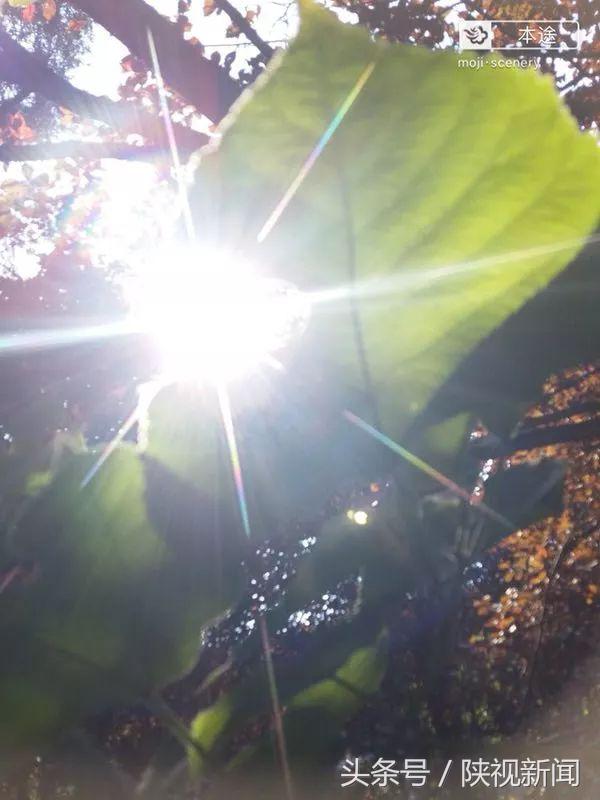 西安最近这么热反常吗?啥时候“退烧”?气象专家说……