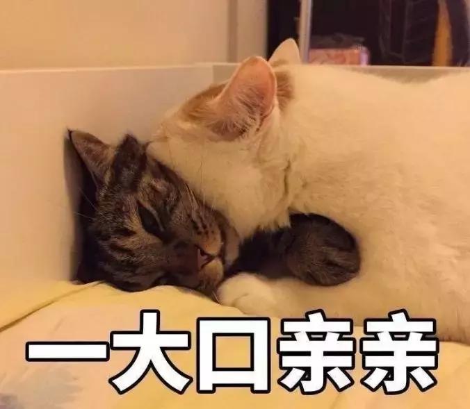 如何选择适合皮肤的粉底液,什么粉底适合中性肤质