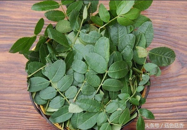 小孩可以长期泡各种草药吗,儿童凉血止痒的洗澡草药