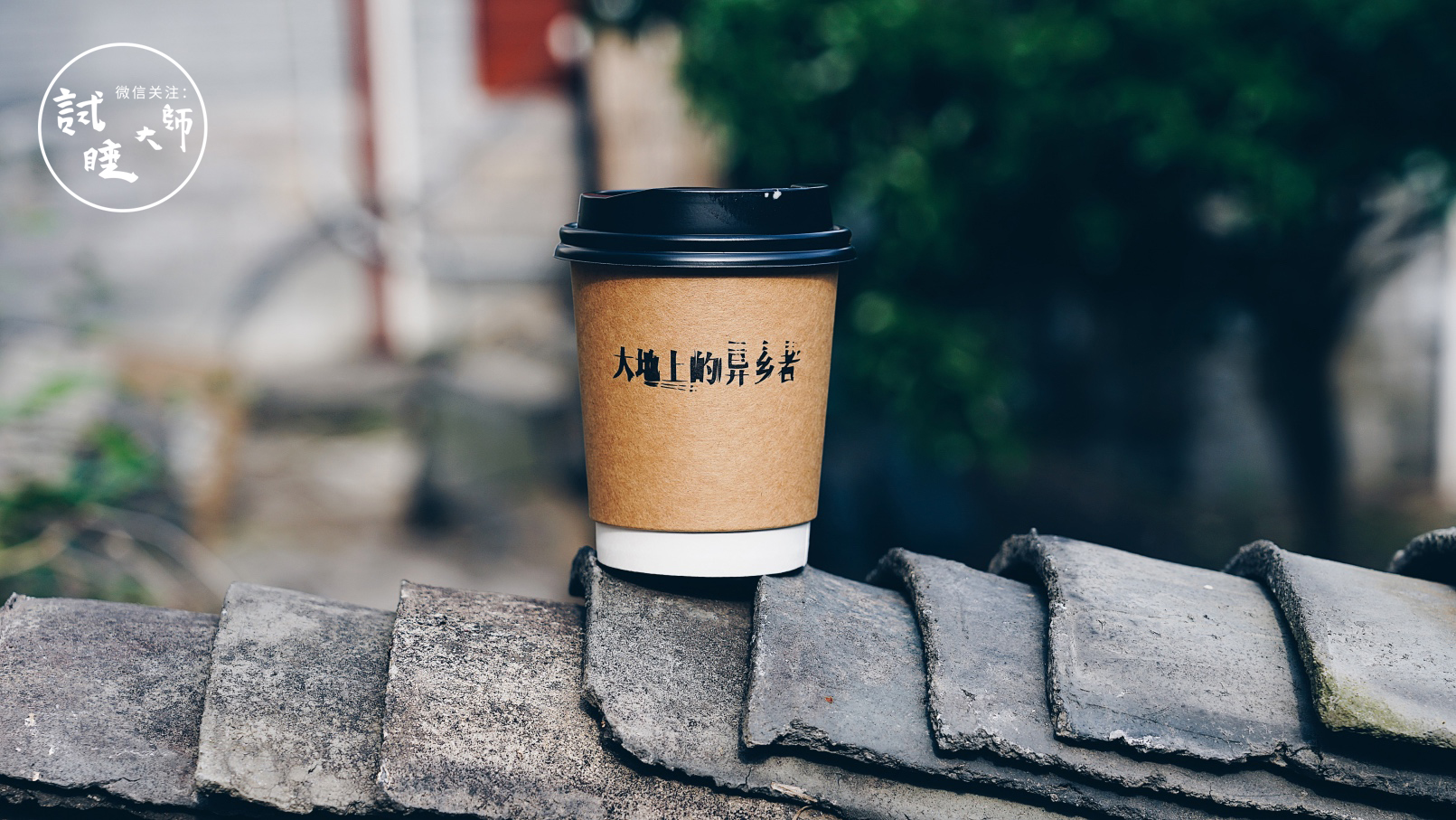 在梯田做成的无边泳池里游泳，私奔去这个隐秘山谷民宿做回野孩子