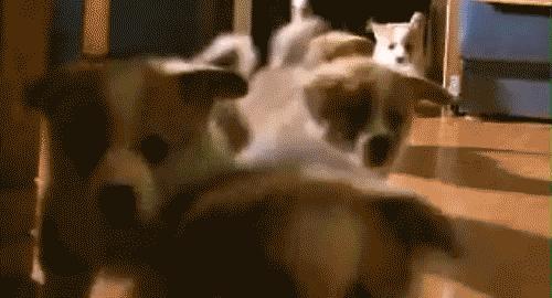 深圳医保待遇,深圳医保退休后待遇