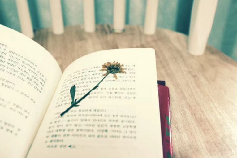 「词风雅韵」马晓琼｜缱绻于斯天地宽且散闲愁去