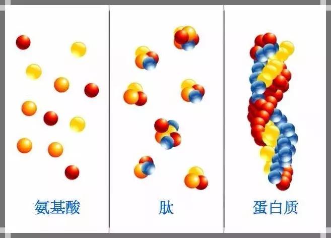 FF眼霜，肽+VC的秘密