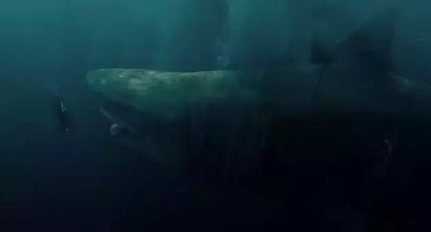 国产电影保护月,今年国产电影保护月