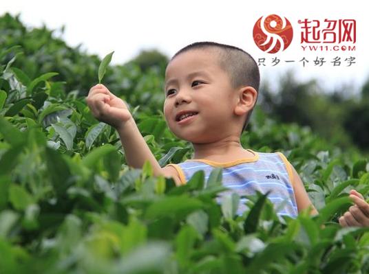 出自成语里面的男孩名字,有寓意的成语男孩名字