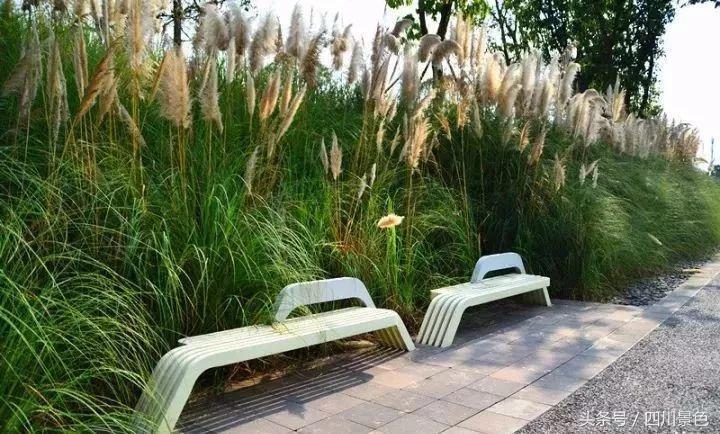 小众又免费！成都地铁直达的天然氧吧！清凉洗肺又解暑！