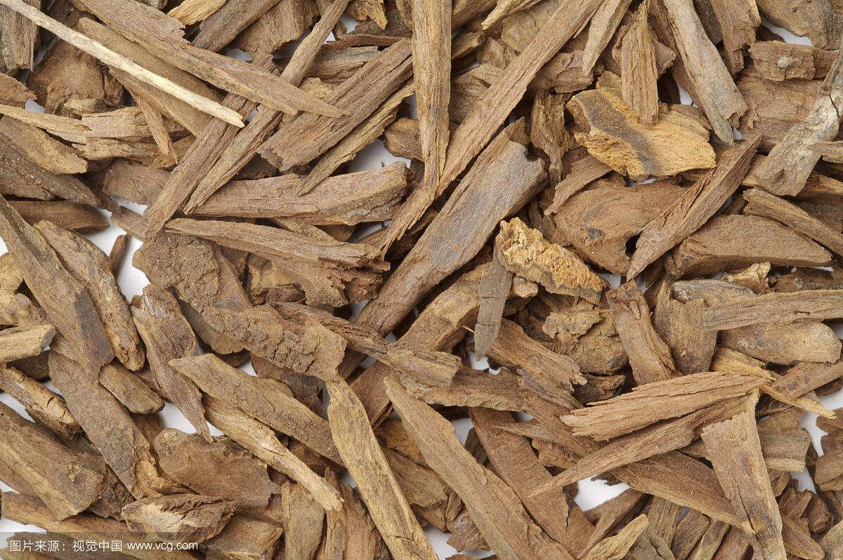 木香是中药学的什么药,中药知识分享木香