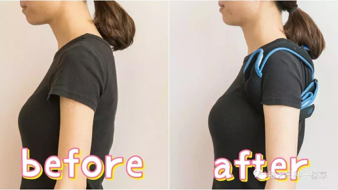 久坐必备健康神器,久坐伤身的最佳治疗方法