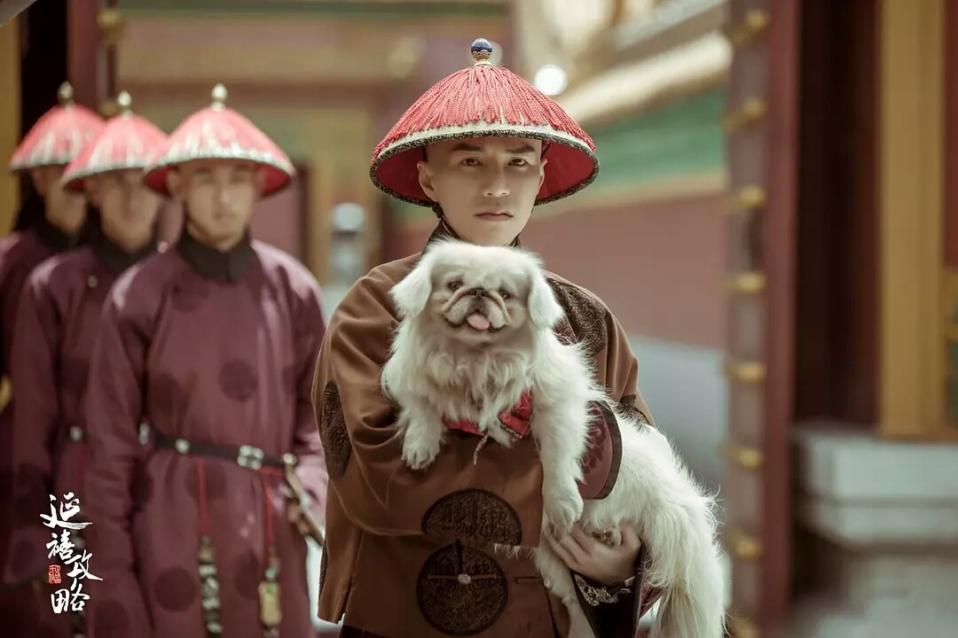 于正再回应延禧攻略,于正延禧攻略2开拍