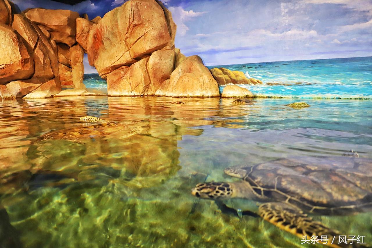 福州避暑网红景点前十名,福州夏天周边游景点推荐最新