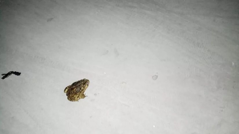 魂牵梦绕的沙滩海浪,魂牵梦绕的大海